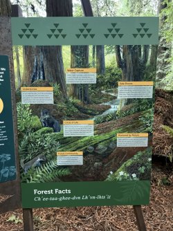 IMG_3061.jpeg IMG_3061.jpeg