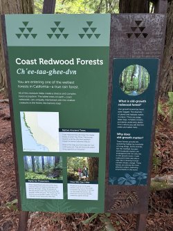 IMG_3062.jpeg IMG_3062.jpeg