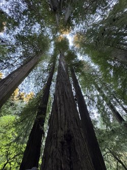 IMG_3064.jpeg IMG_3064.jpeg