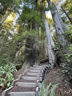 IMG_3066.jpeg IMG_3066.jpeg