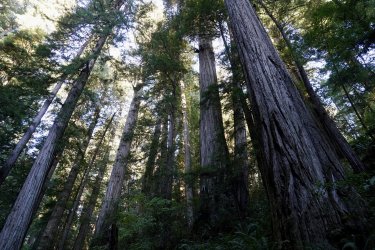 DSC02268.JPG DSC02268.JPG