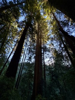 IMG_3070.jpeg IMG_3070.jpeg