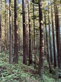 IMG_3075.jpeg IMG_3075.jpeg