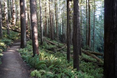 DSC02281.JPG DSC02281.JPG