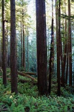 DSC02282.JPG DSC02282.JPG