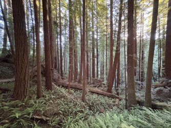 IMG_3078.jpeg IMG_3078.jpeg