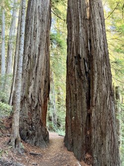 IMG_3080.jpeg IMG_3080.jpeg