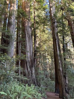 IMG_3083.jpeg IMG_3083.jpeg