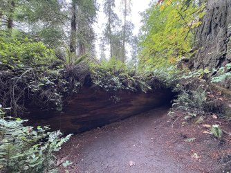 IMG_3092.jpeg IMG_3092.jpeg