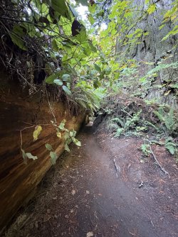 IMG_3093.jpeg IMG_3093.jpeg