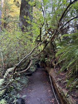 IMG_3095.jpeg IMG_3095.jpeg