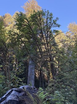 IMG_3097.jpeg IMG_3097.jpeg