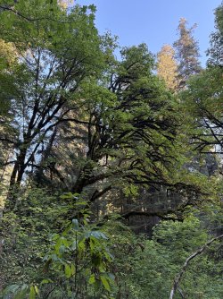 IMG_3100.jpeg IMG_3100.jpeg