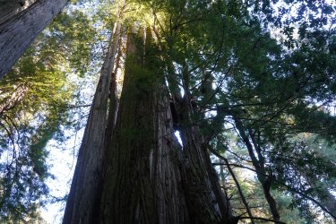 DSC02297.JPG DSC02297.JPG