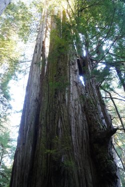 DSC02298.JPG DSC02298.JPG