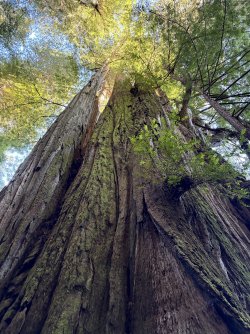 IMG_3103.jpeg IMG_3103.jpeg