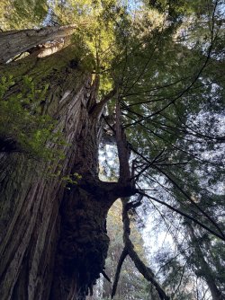 IMG_3105.jpeg IMG_3105.jpeg