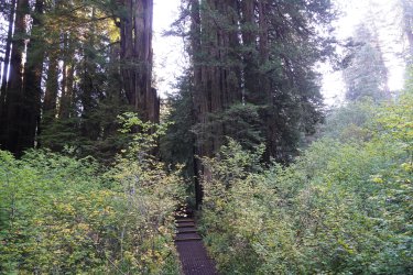 DSC02303.JPG DSC02303.JPG