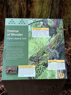 IMG_3106.jpeg IMG_3106.jpeg