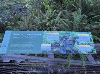 IMG_3107.jpeg IMG_3107.jpeg