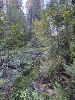 IMG_3108.jpeg IMG_3108.jpeg