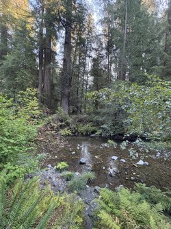 IMG_3110.jpeg IMG_3110.jpeg