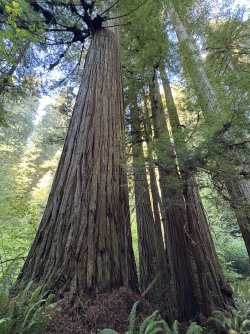 IMG_3111.jpeg IMG_3111.jpeg