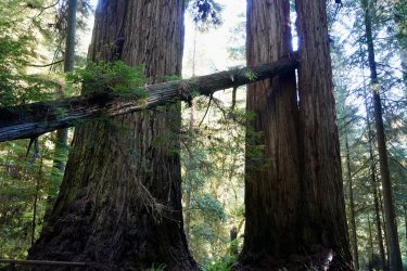 DSC02304.JPG DSC02304.JPG