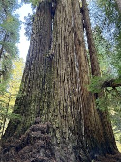 IMG_3113.jpeg IMG_3113.jpeg