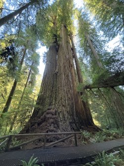 IMG_3114.jpeg IMG_3114.jpeg