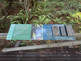 IMG_3115.jpeg IMG_3115.jpeg