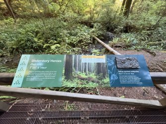 IMG_3116.jpeg IMG_3116.jpeg