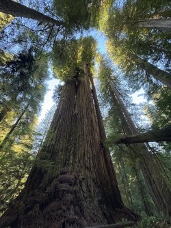 IMG_3117.jpeg IMG_3117.jpeg