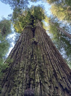 IMG_3119.jpeg IMG_3119.jpeg