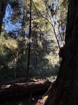 IMG_3122.jpeg IMG_3122.jpeg