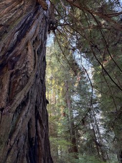 IMG_3123.jpeg IMG_3123.jpeg