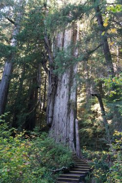 DSC02315.JPG DSC02315.JPG