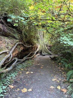 IMG_3126.jpeg IMG_3126.jpeg