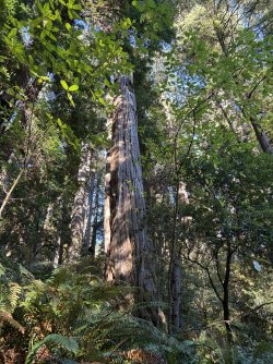 IMG_3128.jpeg IMG_3128.jpeg