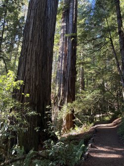 IMG_3129.jpeg IMG_3129.jpeg