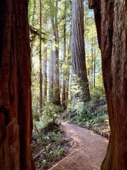 IMG_3136.jpeg IMG_3136.jpeg