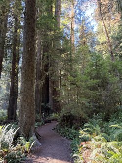 IMG_3142.jpeg IMG_3142.jpeg