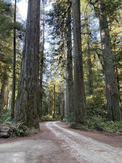 IMG_3144.jpeg IMG_3144.jpeg