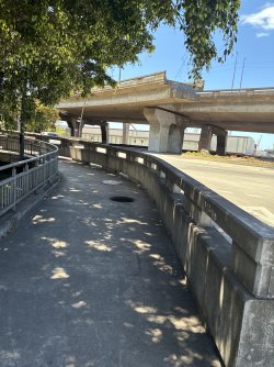 IMG_5135.jpeg IMG_5135.jpeg