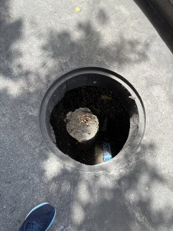 IMG_5086.jpeg IMG_5086.jpeg