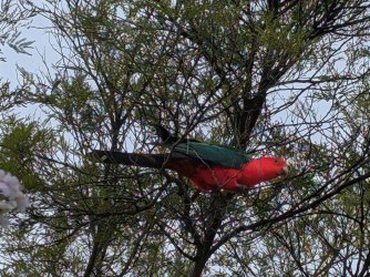 PXL_20251117_035543365~2.jpg PXL_20251117_035543365~2.jpg