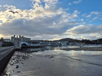 20251117_143745.jpg 20251117_143745.jpg