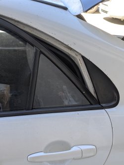 PXL_20251118_051606118.jpg PXL_20251118_051606118.jpg