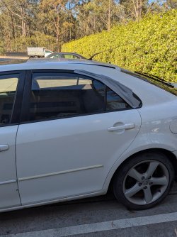 PXL_20251118_055537582.jpg PXL_20251118_055537582.jpg