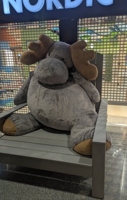 1000043599.jpg 1000043599.jpg